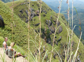Ella - Kijkje door het gras