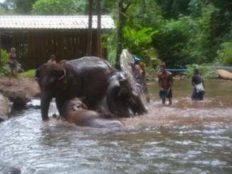 Rondreis Thailand in vier weken - Chiang mai