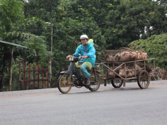 Vietnam - Naar de slager