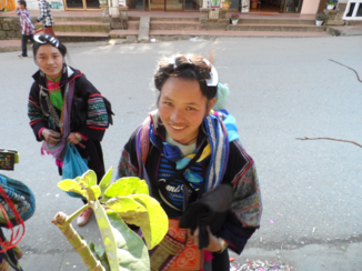 Rondreis Vietnam in twee weken - Sapa