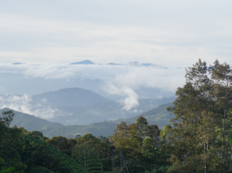 Rondreis door Maleisisch Borneo