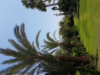 Noord-Cyprus - Op het resort