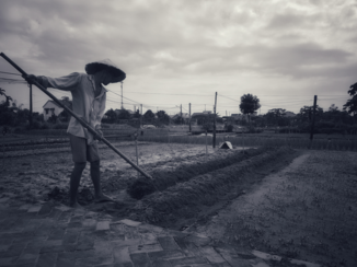 Rondreis Vietnam in twee weken - Hoi An