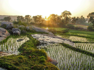 India - Early Birds get rewarded