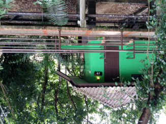 Thailand - Slapen in Khao Sok National Park