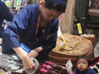 Japan - Japanese food in Kyoto