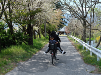 Japan - Fietsend naar de Wasabi boederij