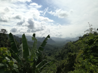 Khao Sok National Park - Uitzicht over het park