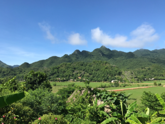 Vietnam - Het noorden. Rijstenvelden