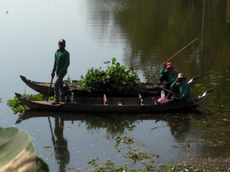 Rondreis Thailand & Cambodja - Met het pont