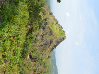 Sigiriya - view