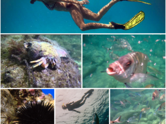 Turkije - Snorkelen onderweg met de boot