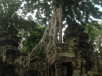 Angkor Wat - Angkor Wat, Tom Raider