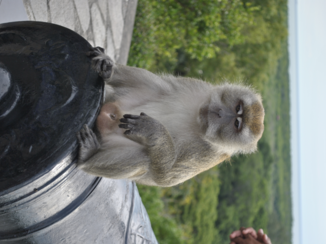 Maleisië - Onderweg