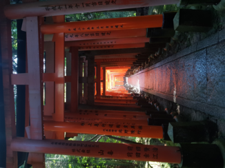 Japan - Fushimi Inari Taisha