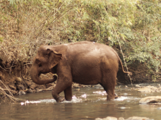 Cambodja - Mondulkiri