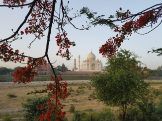 India - Taj mahal