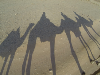 Wadi Rum - Stand in my shadow