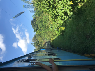 Sri Lanka - Trein
