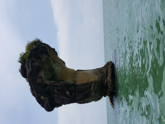 Bako National Park - Cobra