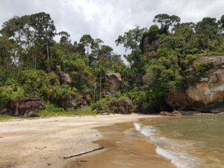 Bako National Park - Beach