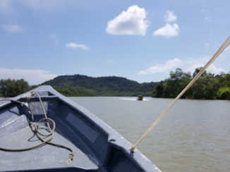 Bako National Park - On our way to Bako