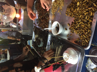 Rondreis Thailand in twee weken - Insecten