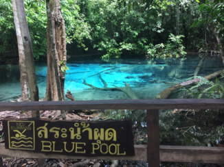 Rondreis Thailand in twee weken