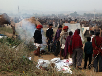India - woestijn nomaden