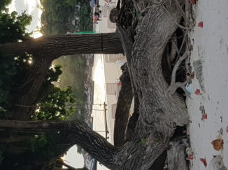 Eilandhoppen in Thailand