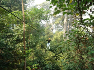 Thailand - Zelf het aapje uithangen? Ook dat kan in Thailand!