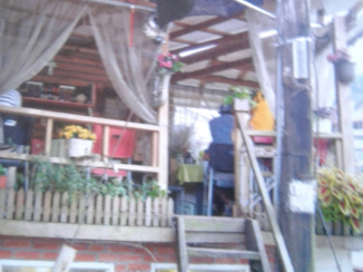 Yehliu Geological Park - PinG Xi