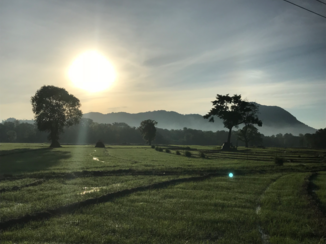 Sri Lanka - Just a view