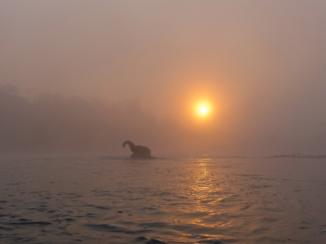 Nepal - Chitwan national park