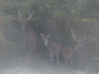 Chitwan National Park