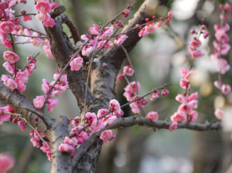 Hangzhou en West Lake