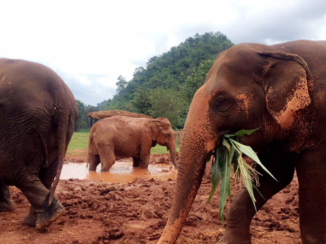 Thailand - Happy family