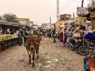 India