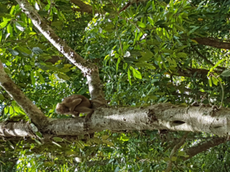 Erawan National Park
