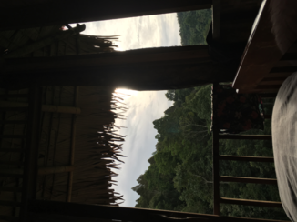 Thailand - Green dream