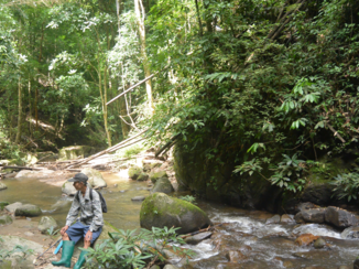 Thailand - Green dream