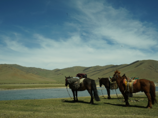 Mongolië - travelling nomad style