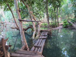 Kuang Si Waterval - Boven de waterval