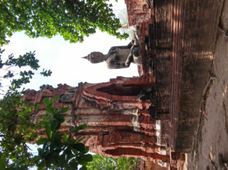 Thailand - Ayutthaya, prachtige tempels en ruïnes overal!