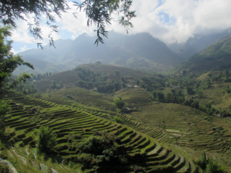 Sapa - Rijstvelden in Sapa, Vietnam