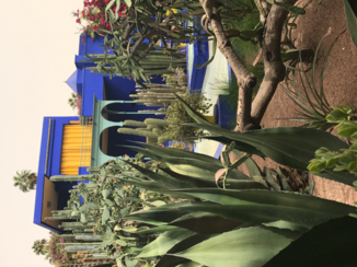 Myanmar - Secret Garden Yves Saint Laurent