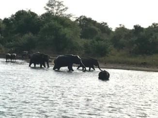 Sri Lanka - Uda walawe