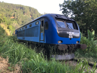 Sri Lanka - Trein