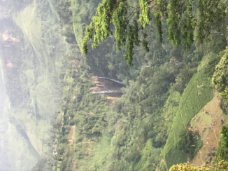 Sri Lanka - Watervallen langs de treinrails