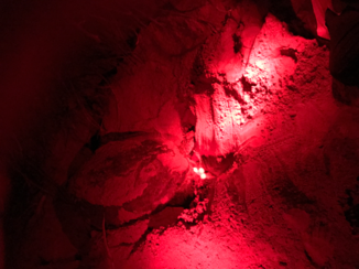 Sri Lanka - Schildpad eitjes leggen